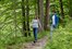 Im Wald am Ufer entspannt spazieren gehen