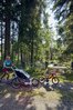 mit Kleinkind auf dem  Fahrrad und Kinderwagen entlang der Ohe im Nationalpark bei Spiegelau 