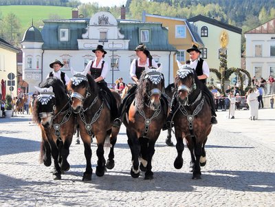 vier Reiter auf festlich geschmückten Pferden reiten durch den Stadtplatz und erhalten kirchlichen Segen 