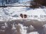 Winterspaß im Schnee in der Alpenregion Tegernsee Schliersee