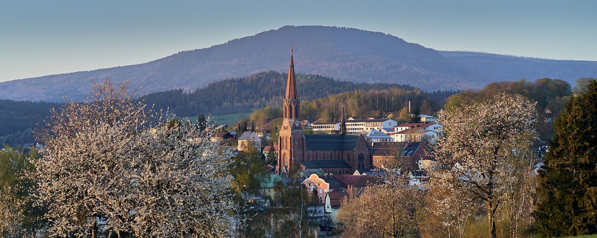 Blick auf Zwiesel auf die markante Ziegelstein-Kirche im Mittelpunkt 