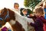 Mini Shetlandponys auf dem Ferienhof Stetter