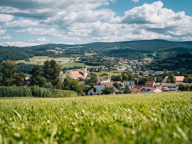 Ortsansicht Viechtach - © pixeltypen hinter saftigen grünen Wiesen eröffnet sich der Blick auf die Stadt Viechtach