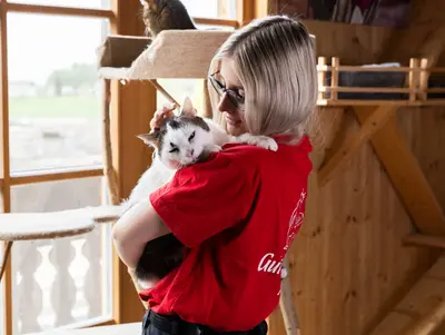 eine Katze wird liebevoll behütet von einer Tierpflegerin 