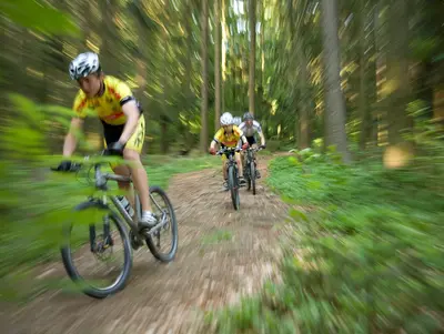 rasante Radfahrt durch den Wald entlang am Adalbert-Stifter-Radweg