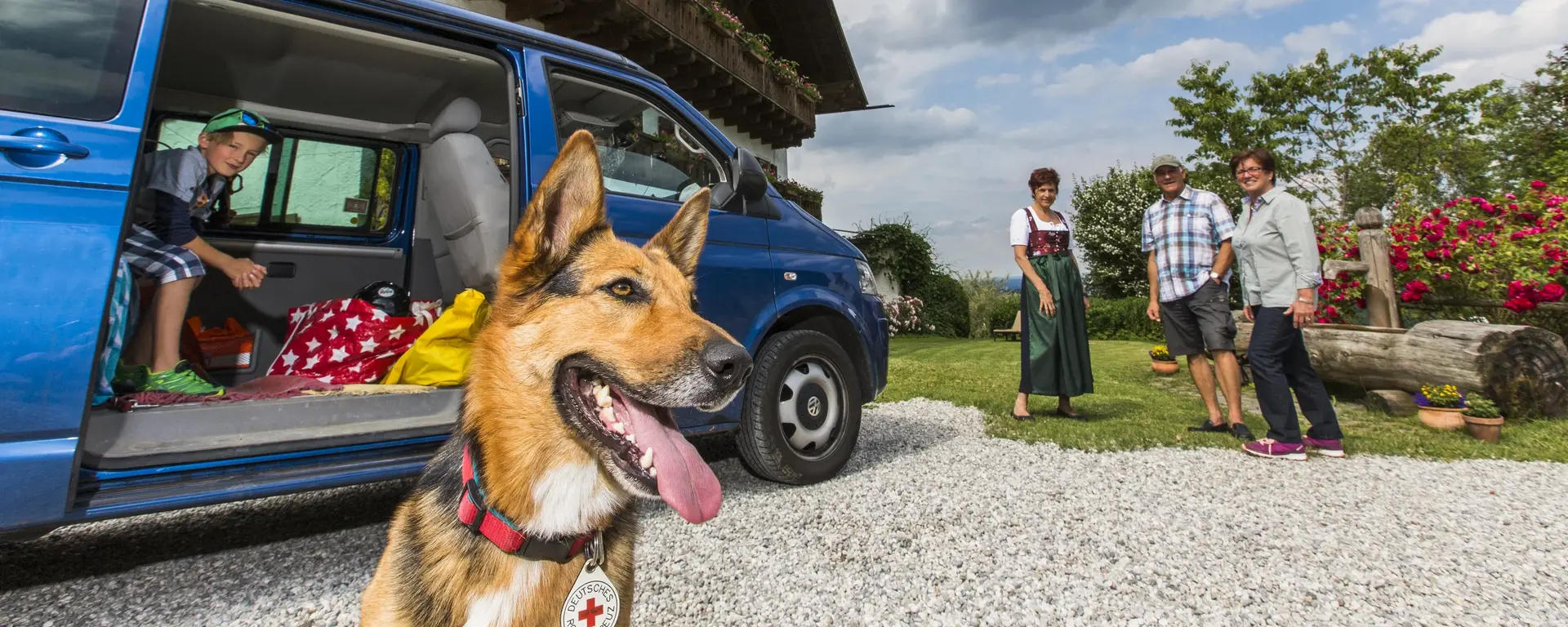 Familienmitglied Hund reist mit 