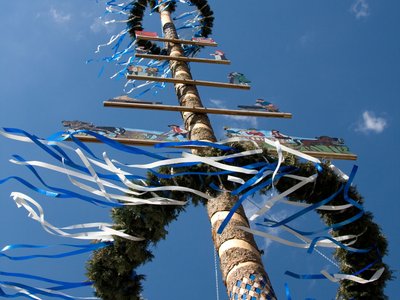 der festlich in weiß-blau geschmückte Maibaum ragt zum Himmel  