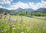 Herrliche Landschaft in der Alpenregion Tegernsee Schliersee