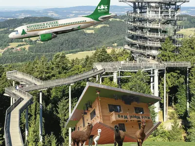 Attraktionen am Waldwipfelweg, Waldturm, verdrehtes Haus, Pfad durch die Waldwipfel und ein Bayerwald Flieger bietet einen virtuellen Rundflug 