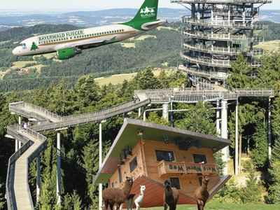 Attraktionen am Waldwipfelweg, Waldturm, verdrehtes Haus, Pfad durch die Waldwipfel und ein Bayerwald Flieger bietet einen virtuellen Rundflug 